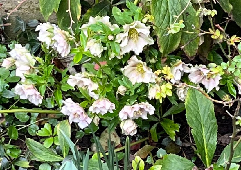 71B0988D-761F-446F-88A2-B2876285049A - Spanz 2017 2023 2024