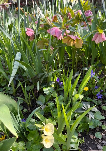 86D46861-CC09-4A2B-A619-7825EEEB998A - Spanz 2017 2023 2024