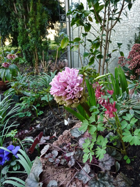  - 2023 - 01 - Primavara