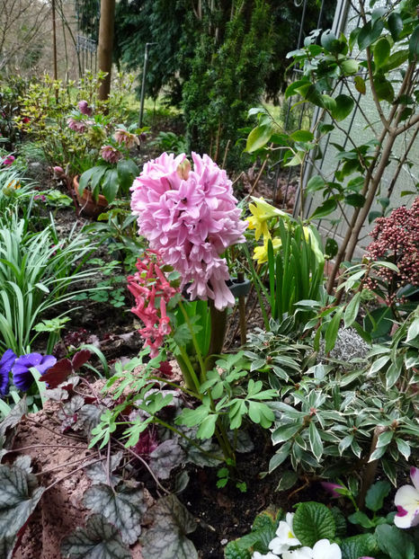  - 2023 - 01 - Primavara