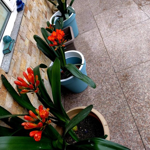  - februarie-martie 2023