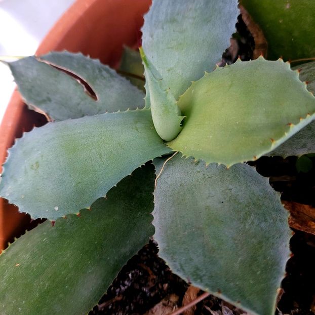  - februarie-martie 2023