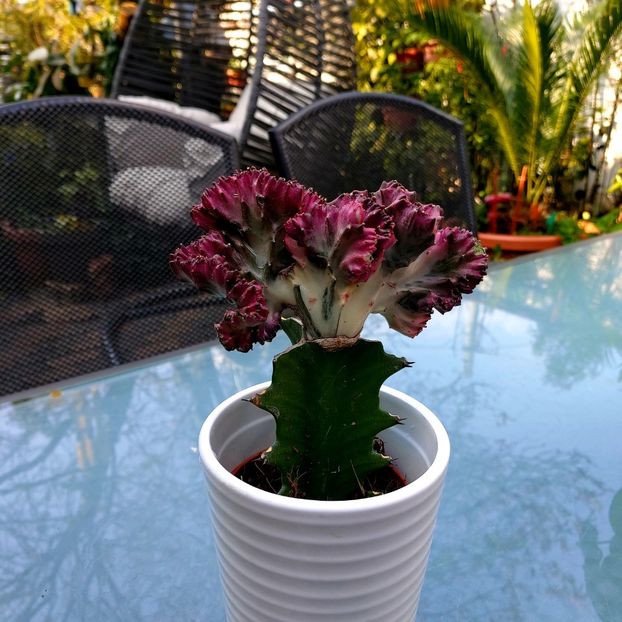  - februarie-martie 2023