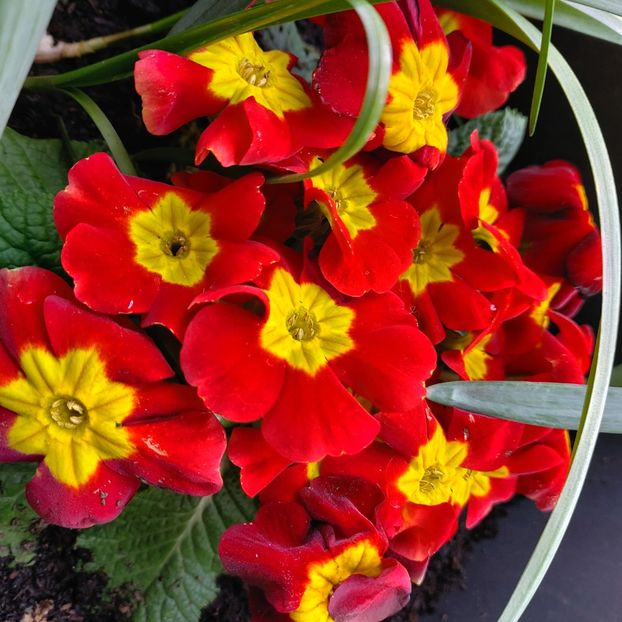  - februarie-martie 2023