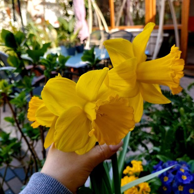  - februarie-martie 2023