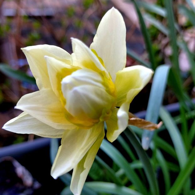  - februarie-martie 2023