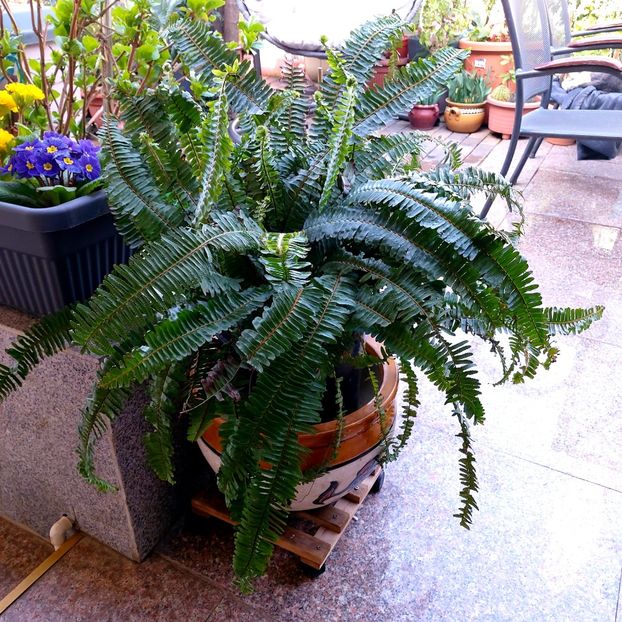  - februarie-martie 2023