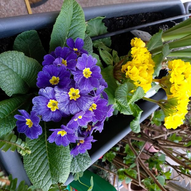  - februarie-martie 2023