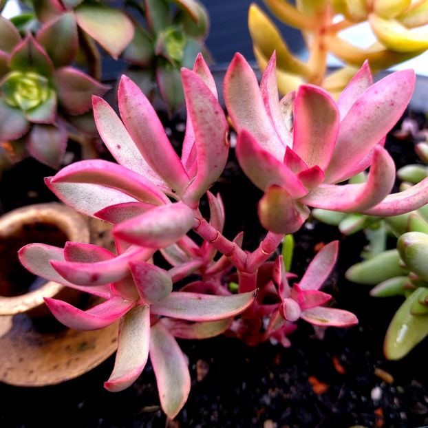  - februarie-martie 2023