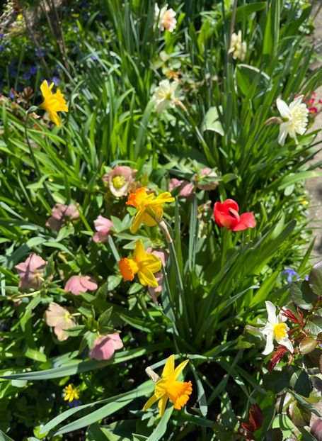 5804EA36-3158-4E6E-8357-4CBCD7189B72 - Spanz 2017 2023 2024