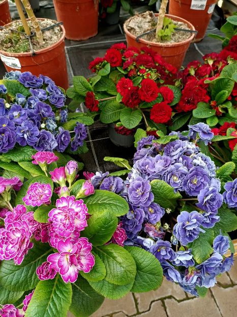 Img.2023.03.29 - Magazinul 2