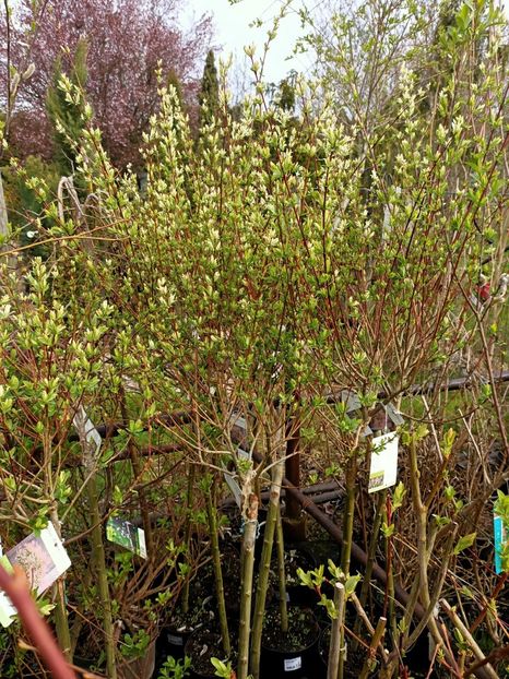 Img.2023.03.29 - Magazinul 2