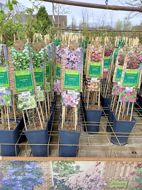 Img.2023.03.29 - Magazinul 2