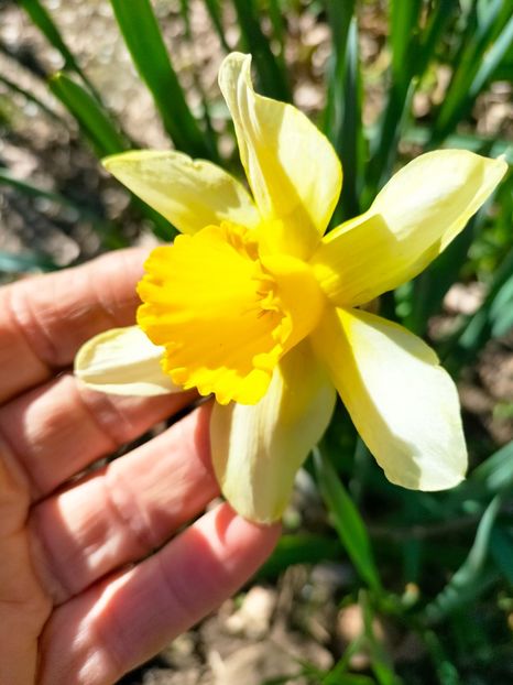 IMG20230329164857 - Martie 2023