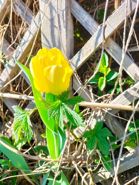 IMG20230329164440 - Martie 2023