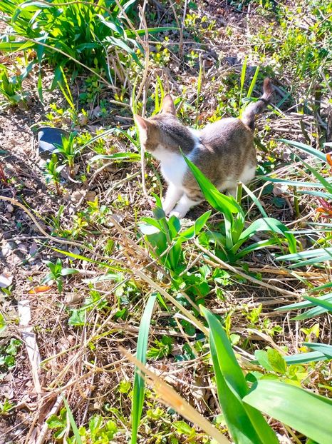 IMG20230329164418 - Martie 2023