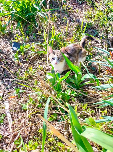 IMG20230329164417 - Martie 2023