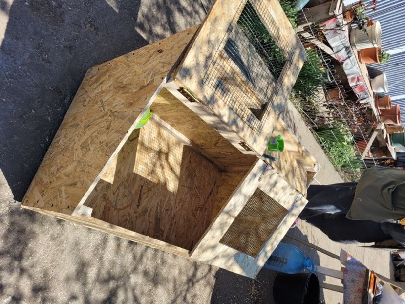  - Boxa Adapost pui intermediari