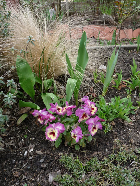 © - 2023 - 01 - Primavara