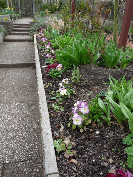 © - 2023 - 01 - Primavara