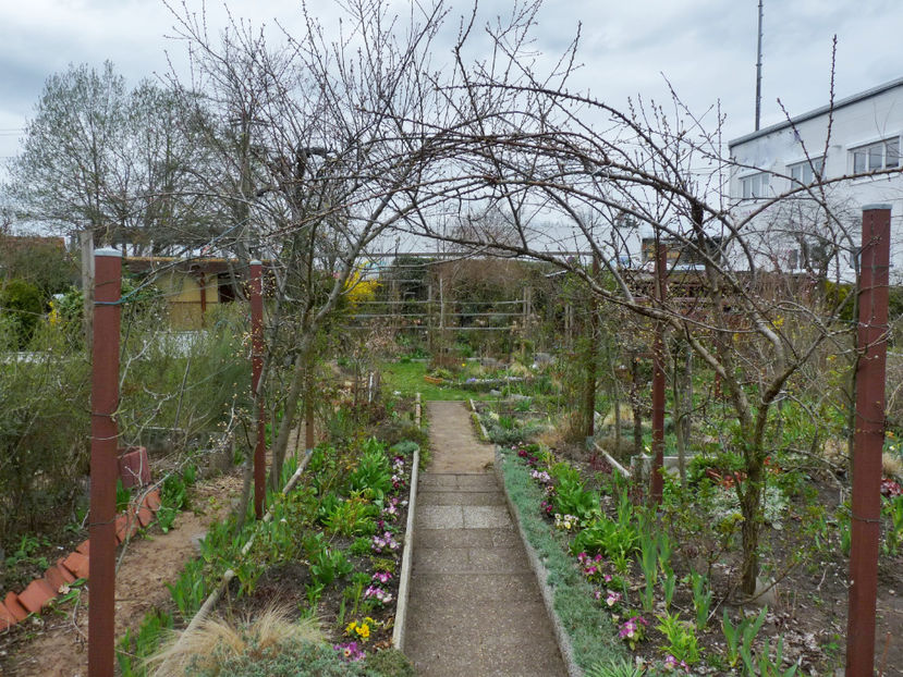 © - 2023 - 01 - Primavara