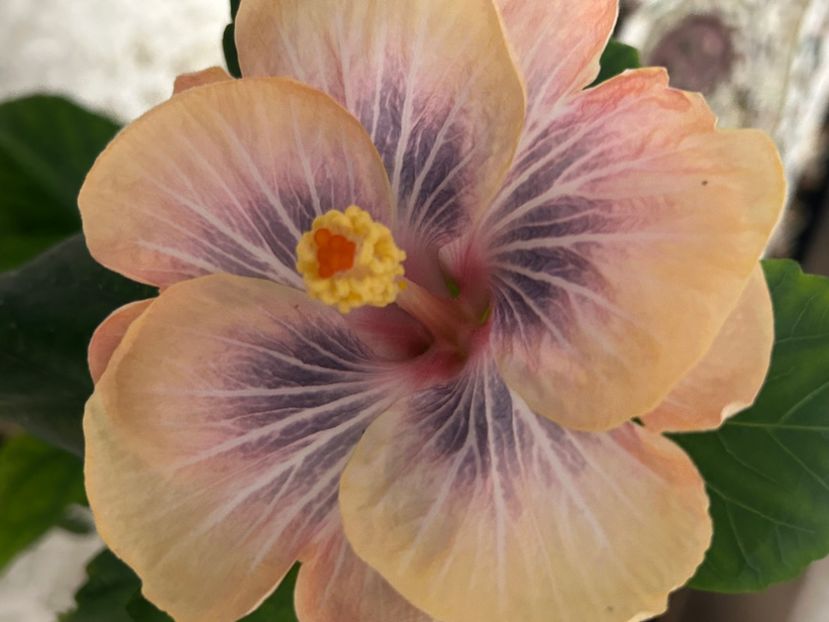 6D0CEFF5-EAD9-4633-8687-2CD880E49AF8 - 2023