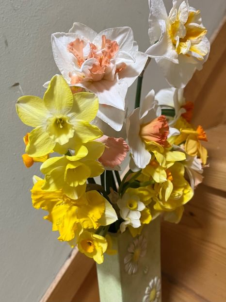 AF4FCD25-7659-45F7-B835-A4FC2D81C8C8 - Narcise 2017 2023 24