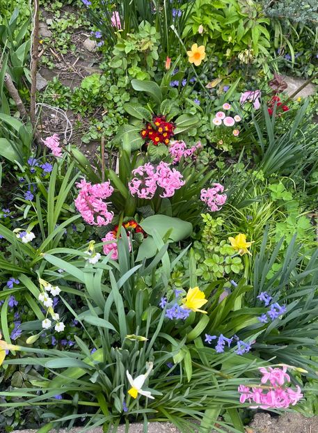 B9F09CFF-D92B-4182-86BE-A4D2594AB91D - Martie 2023