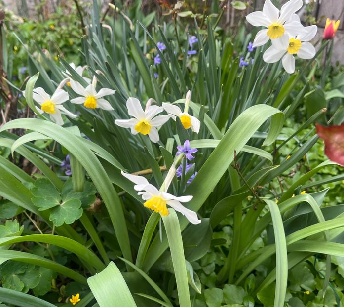 A3E0C152-9E86-4E6F-B3EC-08F19D82D919 - Martie 2023