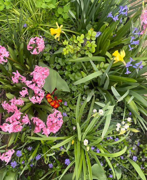 B325B54E-9E39-4CBE-AB16-6D952AC78D61 - Martie 2023