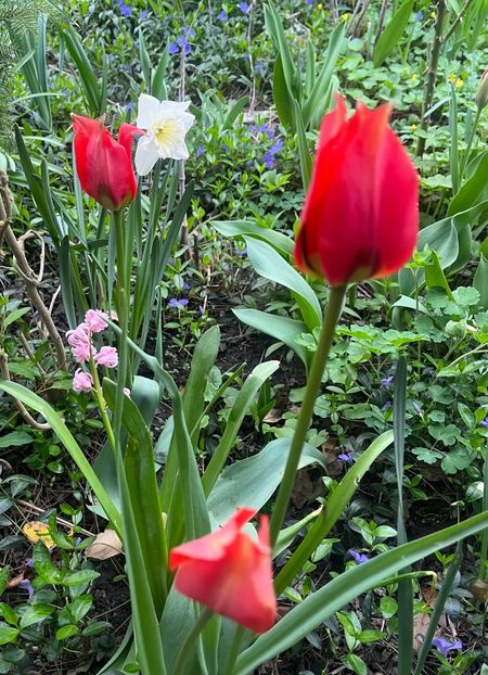 2870680B-5013-4883-813E-EFA985479B82 - Martie 2023