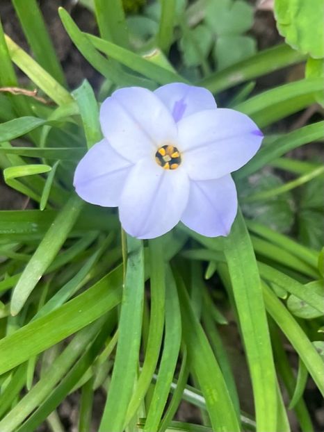 247F007C-9EE6-4D52-9728-D01FEECB3C7B - Martie 2023