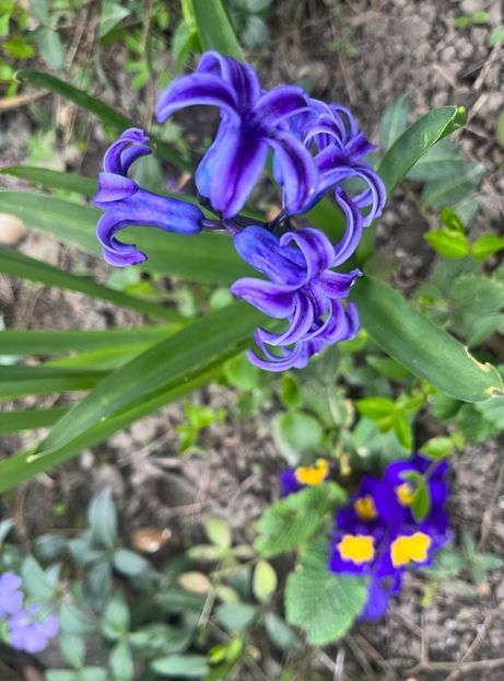 516CD08B-A713-4E8E-B7B5-87CBD28EA934 - Martie 2023