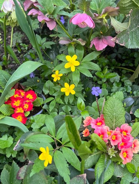 4D43A0E3-3560-4E98-B058-6BFBC4E9FD44 - Martie 2023