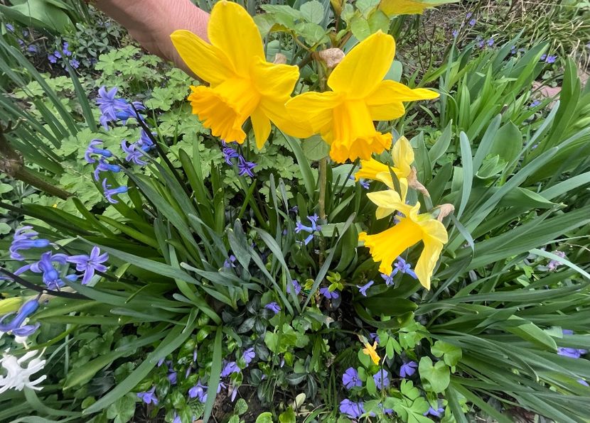 BCD742E0-0B41-413D-AB0D-237868779CE7 - Martie 2023