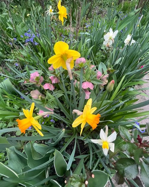 DF1A544B-307E-4B95-8174-CDE604ADD9AF - Martie 2023