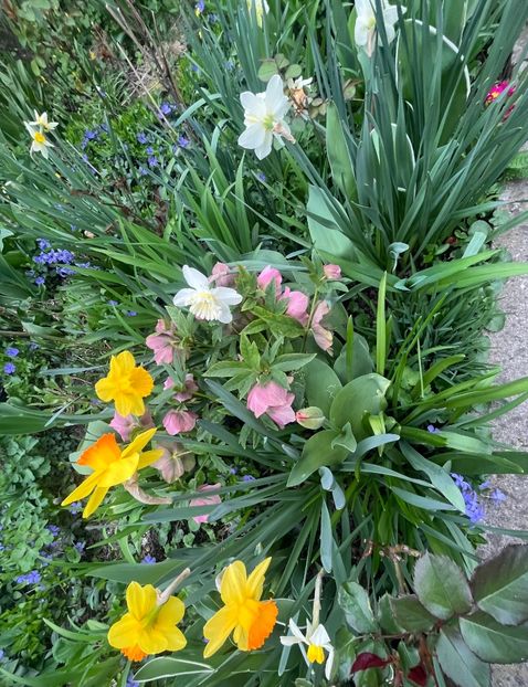 10D1EE3D-DF20-4A28-ADD0-9D02D7ECFCDE - Martie 2023