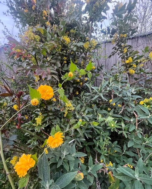 B40167FF-3DA5-4DF0-9774-526B6F9F58D3 - Martie 2023