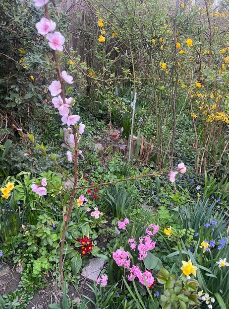 B33F9399-D2D4-4BC6-81EE-1D128711C48B - Martie 2023