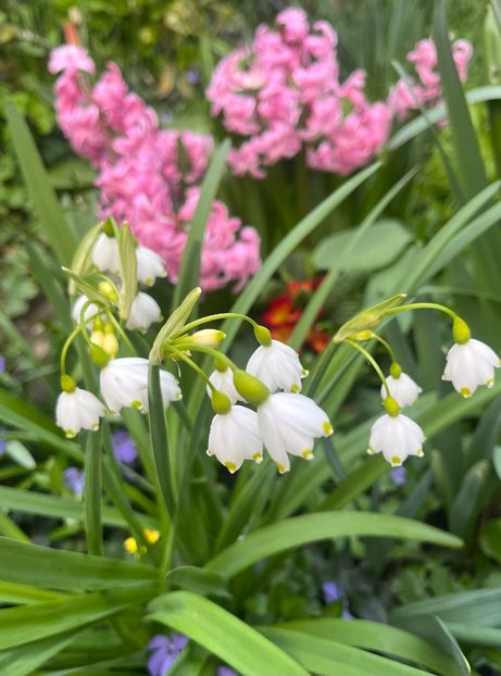 BF97E058-9E34-4B5F-89BE-D8A1166D4C77 - Martie 2023