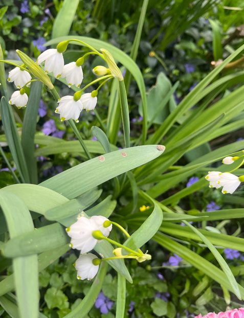 33485746-725F-4889-8C3D-0E59760AE5BF - Martie 2023