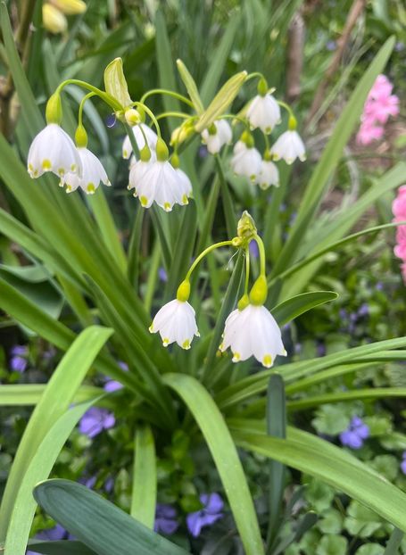 A590361F-1306-45F9-95FB-54551B427E6B - Martie 2023