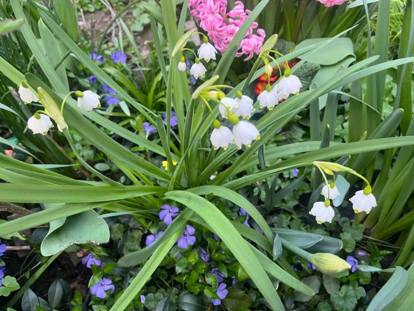 A4F40C7D-FC18-47E2-B310-F7A8D47213EB - Martie 2023