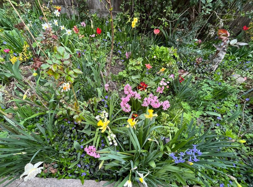 977E8867-6E9F-4D17-90B9-16A35832330B - Martie 2023