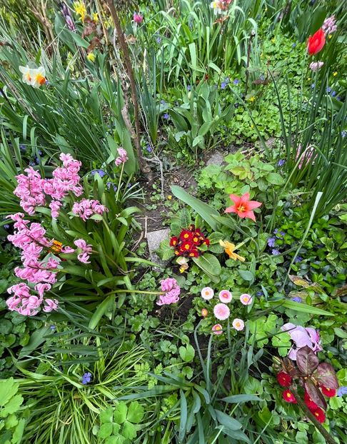 ADFCC2F6-1BC2-4BB7-9F28-793E96093598 - Spanz 2017 2023 2024