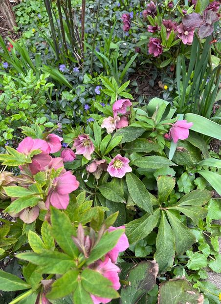 4204CE6F-4451-4813-BE33-79F8CFA49DF4 - Spanz 2017 2023 2024