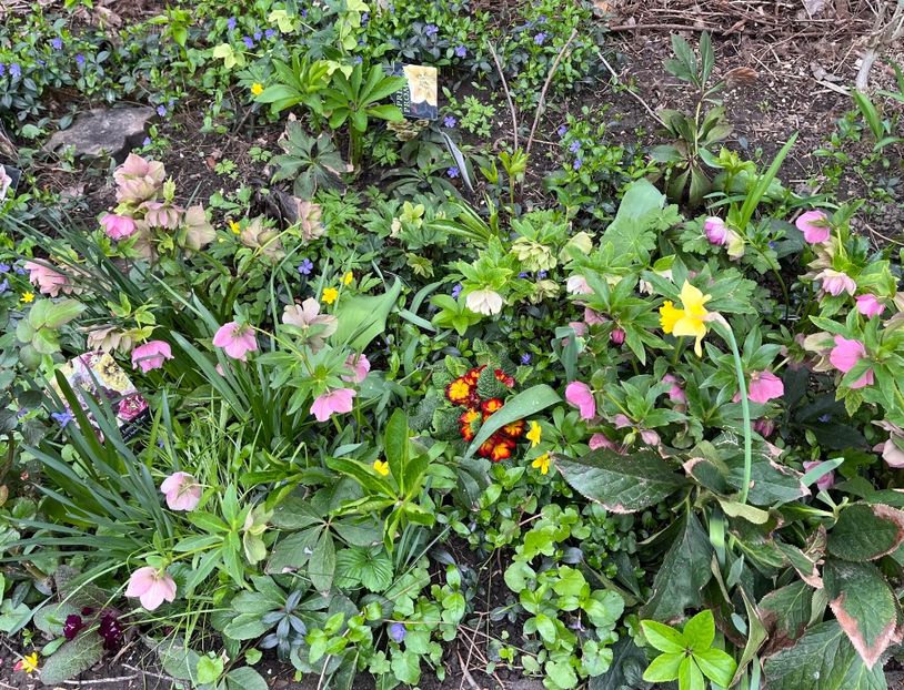 E795C158-DFB0-4B7C-90F4-1C2801B3508B - Spanz 2017 2023 2024