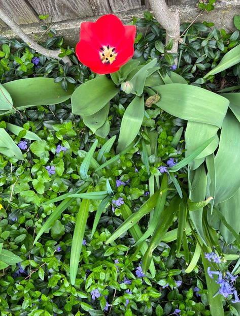 2F4D9FEF-D6E0-4AB5-AC59-DDA13893656D - Lalele 22 23