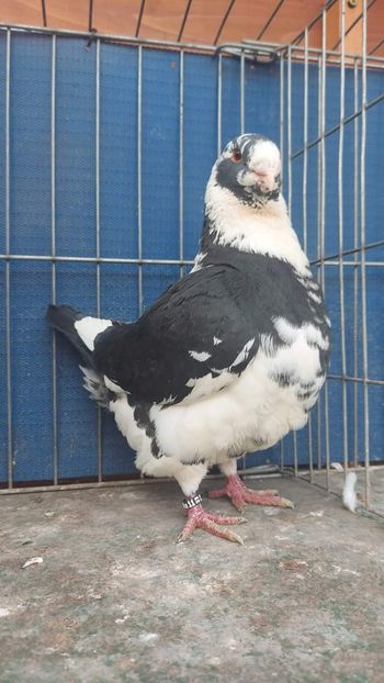 M 2022 - Perechi 2023