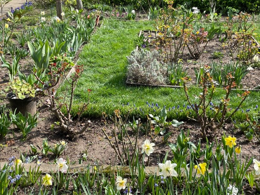 501F921E-E511-4783-8ABB-D55192CE0886 - 01 Primăvara 2023